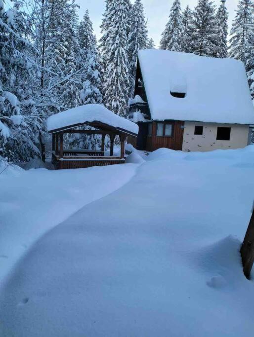 Enchanted Forest Chalet Tatranska Strba Exterior photo